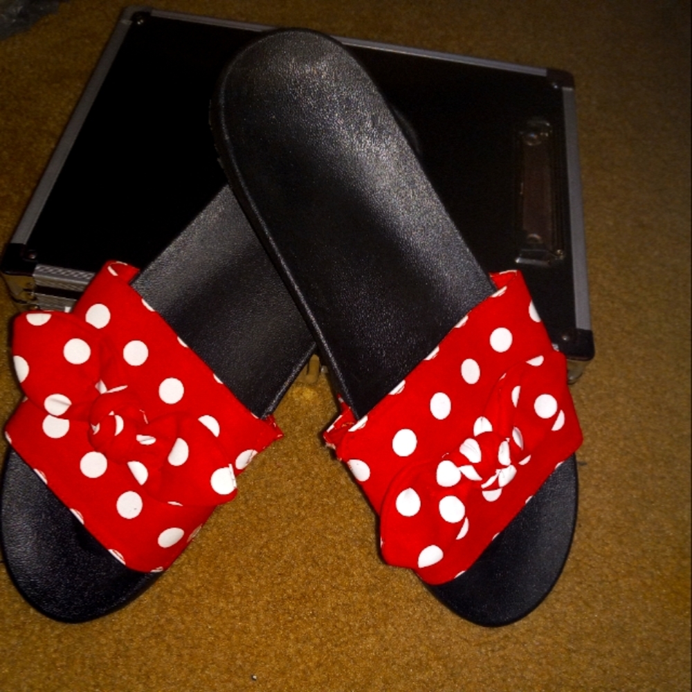 Minne mouse slides